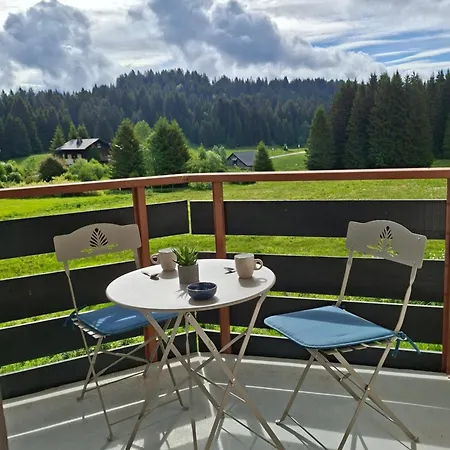 Le Du Plateau - Praz De Lys, Calme Et Au Centre Appartement Taninges