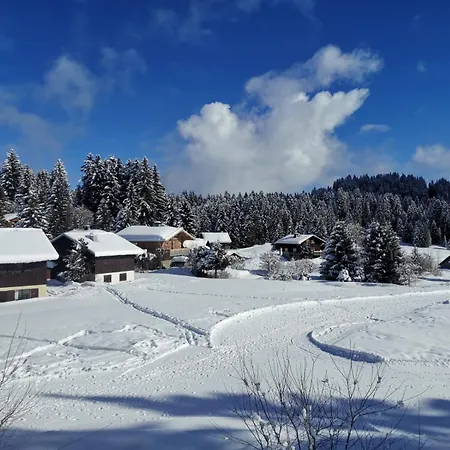 Le Du Plateau - Praz De Lys, Calme Et Au Centre アパート タナンジュ