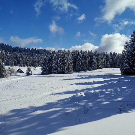 Le Du Plateau - Praz De Lys, Calme Et Au Centre * タナンジュ